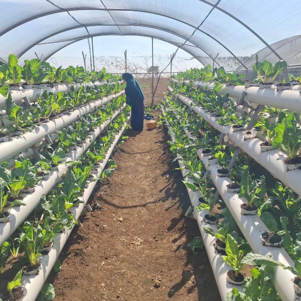 WhatsApp Image 2025-12-05 at 10.54.10 PM(3)