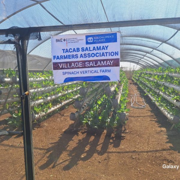 WhatsApp Image 2025-12-05 at 10.54.11 PM(2)