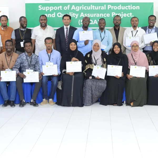 New-Smart-Photo-scaled-1 (1)